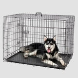 Hundebox - Transportbox mit Bodenschale - Mypuppystore #